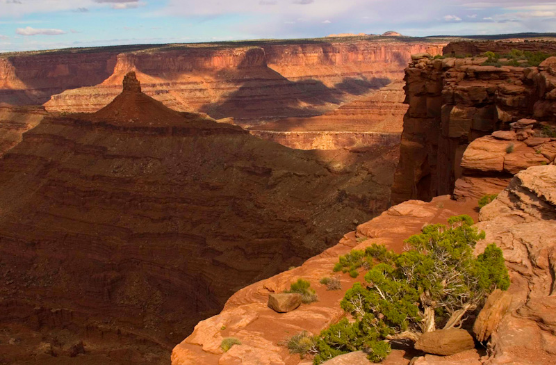 View From Dead Horse Point